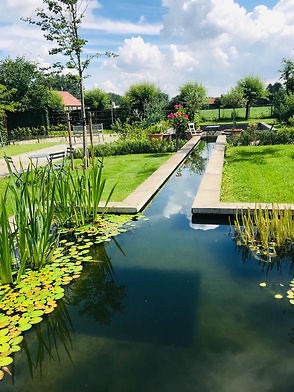 foto vijver groot